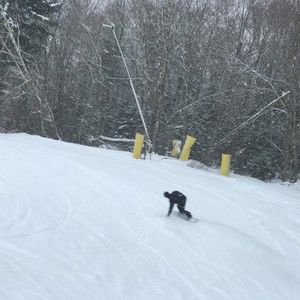 Meet your Posher, Evan